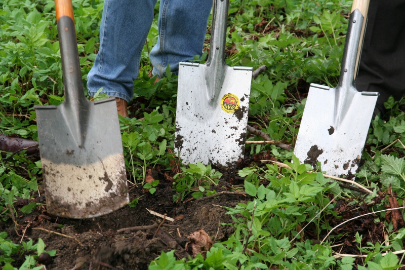 pepiniere-LE BROC-min_work-lawn-flower-tool-green-backyard-1103633-pxhere.com